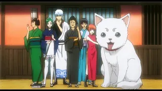 「AMV」Gintama - OP 21 ("I Wanna Be" by SPYAIR)