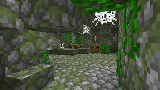 Minecraft new secret room in jungle temple!