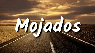 Mojados - Willie Gomez (LYRICS)