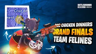 IGL POV | Tournament Gameplay | B2B WWCD Grand Finals | Team Felines | FraGie | #bgmi #igl