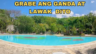 MOMARCO FOREST COVE l BEST RESORT SA TANAY