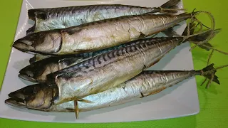 КАК ХРАНИТЬ ПРОВЕСНУЮ СКУМБРИЮ  Mackerel How to Store