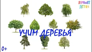 Деревья. Учим деревья для детей на русском / Лучшее детям