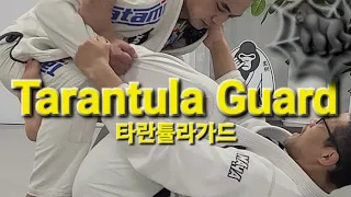 타란튤라가드 Tarantula Guard (기술도움 : 김준호) #타란튤라가드 #TarantulaGuard