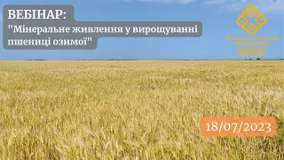 Вебінар "Мінеральне живлення у вирощуванні пшениці озимої"