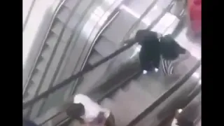 Les ingénieurs du Wakanda découvrent l'escalator