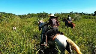 CARREIRA FEIA NA JUQUIRA ATRÁS DA BEZERRA.😱