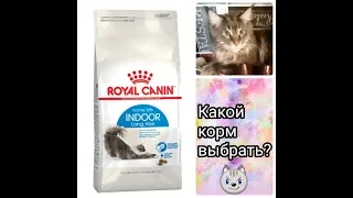 Royal Canin/Разные корма, разный эффект?/Дегустирум корм