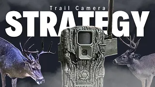 Trail Camera Strategy (My Top 6 Tips)