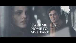 cedric + hermione || yesterday.