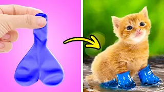 Pequenas botas para as patas! Melhores ideias de bricolagem para donos de animais