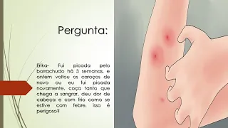 Fui picada pelo borrachudo | Os caroços caçam tanto que chega a sangrar | É perigoso?