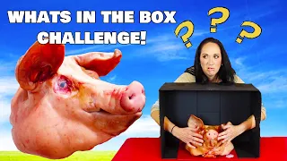 The What's In The Box Challenge...She Freaked OUT!