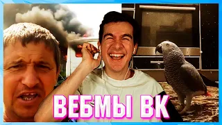 БРАТИШКИН СМОТРИТ ВЕБМЫ ВК ( 14 ЧАСТЬ )