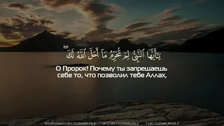 Сура 66 Ат-Тахрим (Запрещение); Чтец: Abdullah Sarasrah