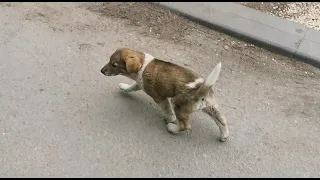 Семейный влог. Скоро я снова студент. Милая бусинка.