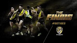 Richmond Tigers Theme Song (UNRELEASED SONG) HQ Audio