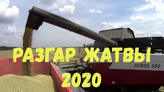 УБОРКА ОЗИМОГО ЯЧМЕНЯ 2020 В САМОМ РАЗГАРЕ!!!АКРОС580,ВЕКТОР410!!!