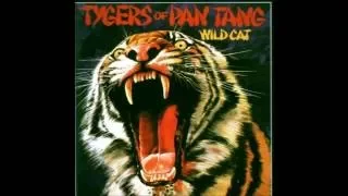 Tygers Of Pan Tang - Suzie Smiled (Lyrics In Description)