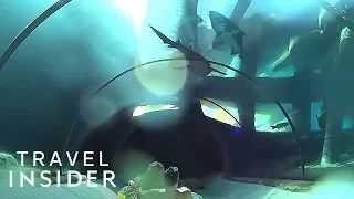 Water Slide In Spain Shoots You Underneath A Shark Tank