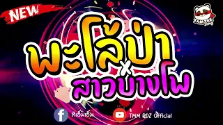 #กำลังฮิตในtiktok ♪ พะโล้ป่า x สาวบางโพ ⭐ มาแรงในTikTok 2023 | TMM PDZ Official