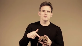 Matt Dillon Supports Turtle and Tortoise Conservation