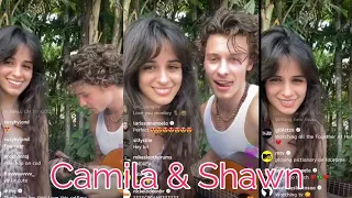 Camila Cabello & Shawn Mendes - Havana Instagram Live Concert ❤️