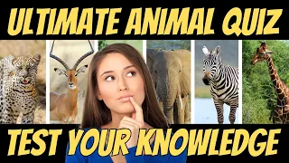 Ultimate Animal Quiz, Can You Name All 100?