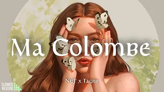 NEJ' - Ma Colombe ( Ft. Tagne ) [ Slowed & Reverb ]