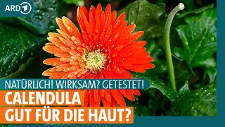 Hilft Calendula als Salbe oder Mundwasser bei Entzündungen? I ARD Gesund