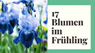 17 Blumen im Frühling, die bunte Vielfalt in den Garten bringen