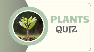 QUIZ | PLANTS | WITH ANSWERS | AND EXPLANATION | banana leaf, Tulsi leaf benefits