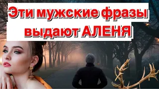 Фразы, которые выдают мужчину Аленя...