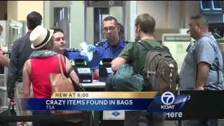 TSA finds odd items in bags