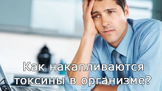 Как накапливаются токсины в организме?