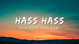 Hass Hass|Song|slowed reverb| Diljit x Sia | #slowedandreverb #songs #diljitdosanjh