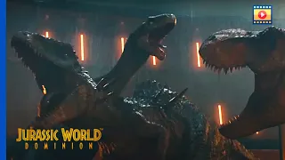 Jurassic World Domínio (2022) - T-Rex vs. Giganotossauro | Cena