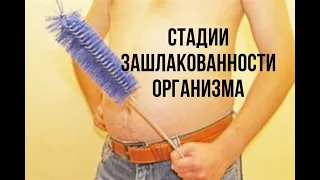 Стадии зашлакованности организма. Что делать?