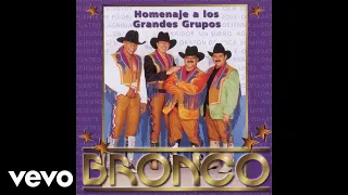 Bronco - Lo Que Te Queda (Cover Audio)