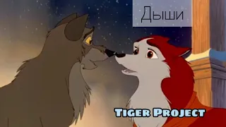 Балто и Дженна / Дыши