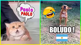 Animales Graciosos Que Hablan 😂 Parte 2