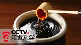 《走近科学》物从何处来 · 醋：山西老陈醋如何将粮食转化成醋 20181009 | CCTV走近科学官方频道