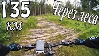 Покатушка на велосипеде через леса / 135км / YI 4K Action Camera Video / zhiyun z1 rider m / MTB