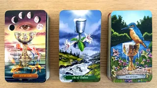 🐕💝Are They Thinking About You?😍🎁 PICK A CARD Timeless Love Tarot