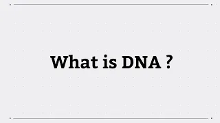 What is DNA?