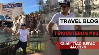 TRAVEL BLOG TE100STERON#ХЗ ЛАС-ВЕГАС  (ЧАСТЬ 5)