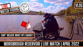 CONTROVERSIAL MATCH WIN "SHOULD I HAVE WEIGHED THAT FISH IN" WORSBROUGH RESERVOIR LIVE MATCH FISHING
