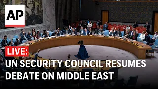 LIVE: UN Security Council resumes debate on Middle East, Palestinian question