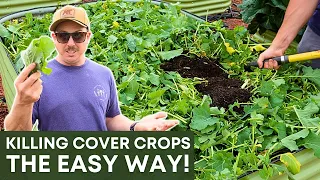 How Do We Get Rid of This Stuff?! | Cover Crop Termination Tips