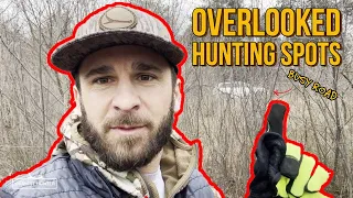 Overlooked Deer Hunting Spots on Public Land and How to Scout Them in the Off Season